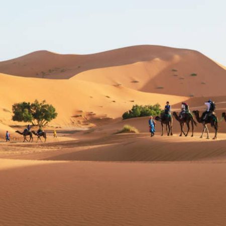 Desert Berber Fire Camp Merzouga Exteriör bild