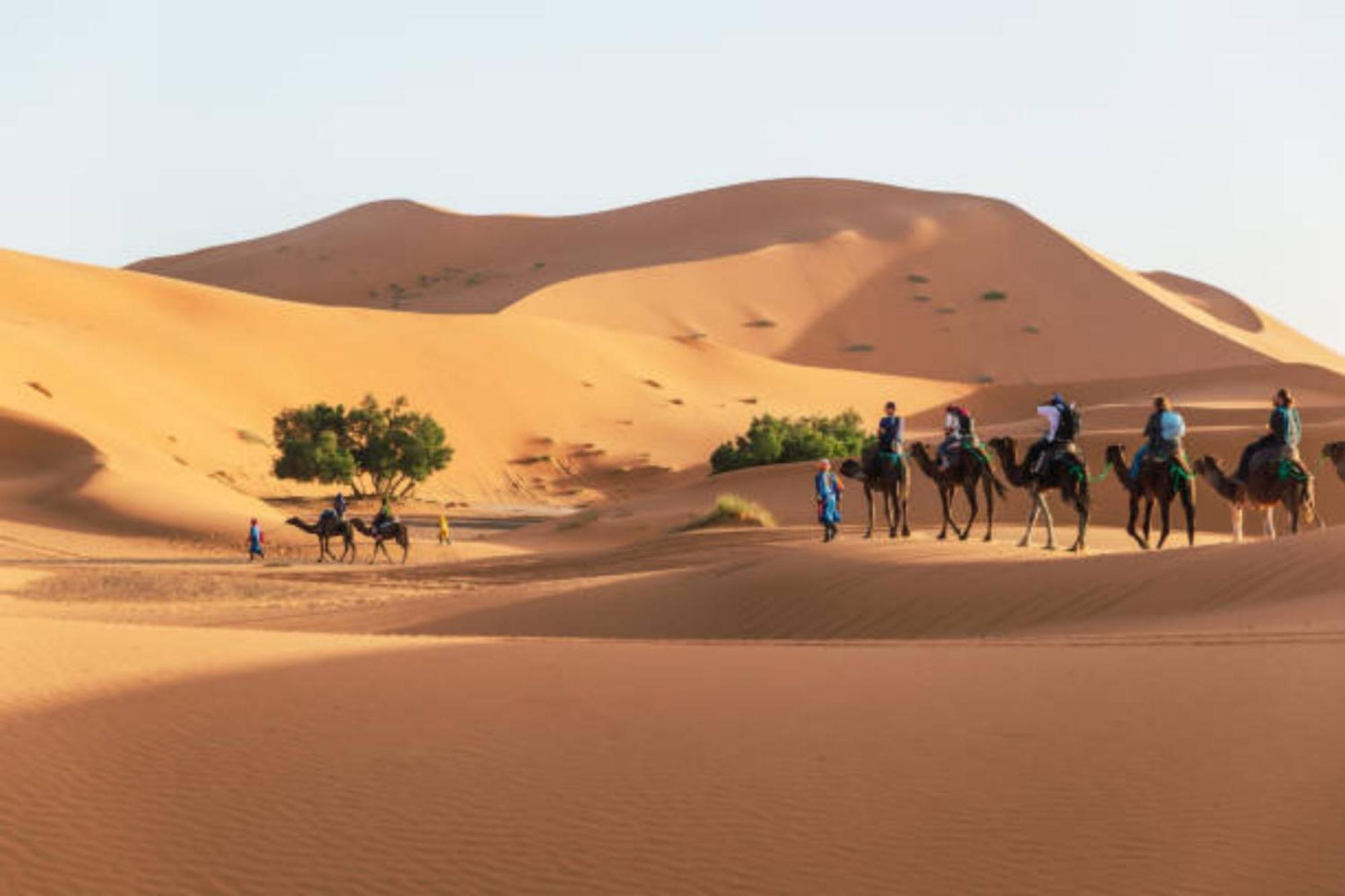 Desert Berber Fire Camp Merzouga Exteriör bild